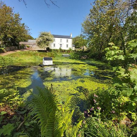 Bed and Breakfast Hen Ffermdy Jordanston Exterior foto