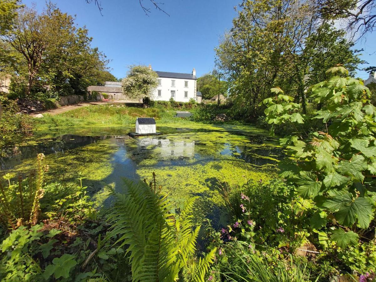 Bed and Breakfast Hen Ffermdy Jordanston Exterior foto